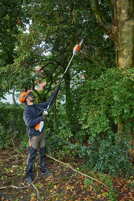 HTA 66 - Stihl Shop Frankston